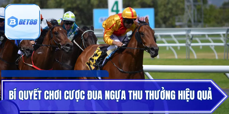 Bí quyết chơi cược đua ngựa thu thưởng hiệu quả