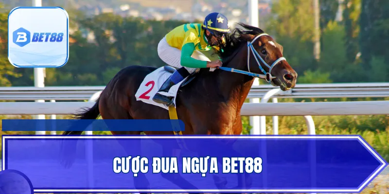 Cược Đua Ngựa BET88 - Đa Dạng Trận Đấu Kịch Tính, Thưởng Lớn