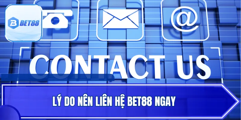 Lý do nên liên hệ BET88 ngay